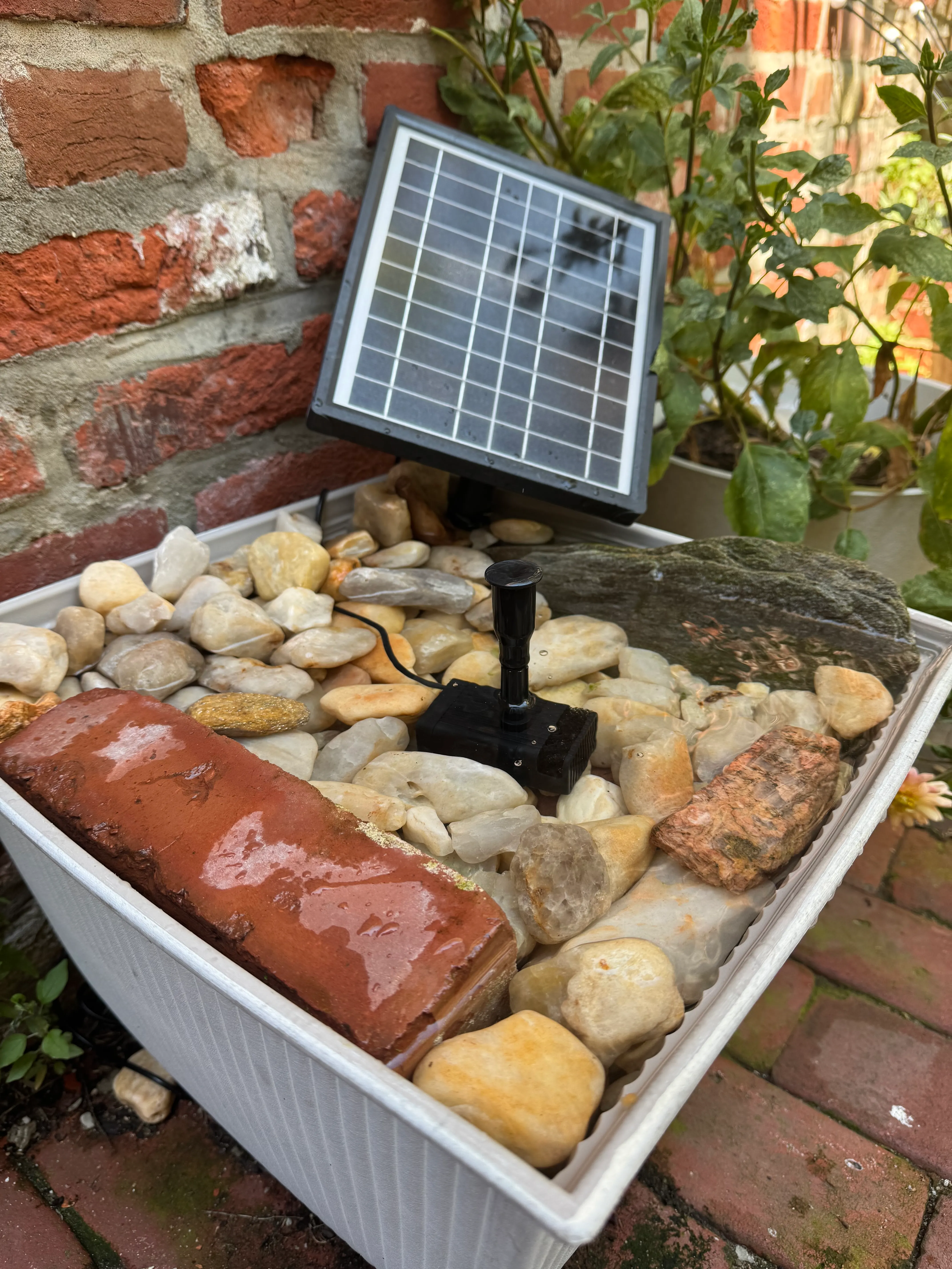 The bird-and-bee fountain, a solar-powered basin ...